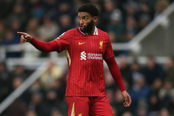 球队选项不 球队选项不