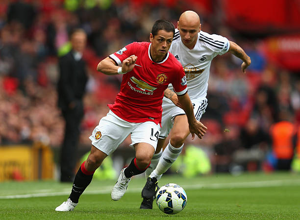 化的熏陶 化的熏陶